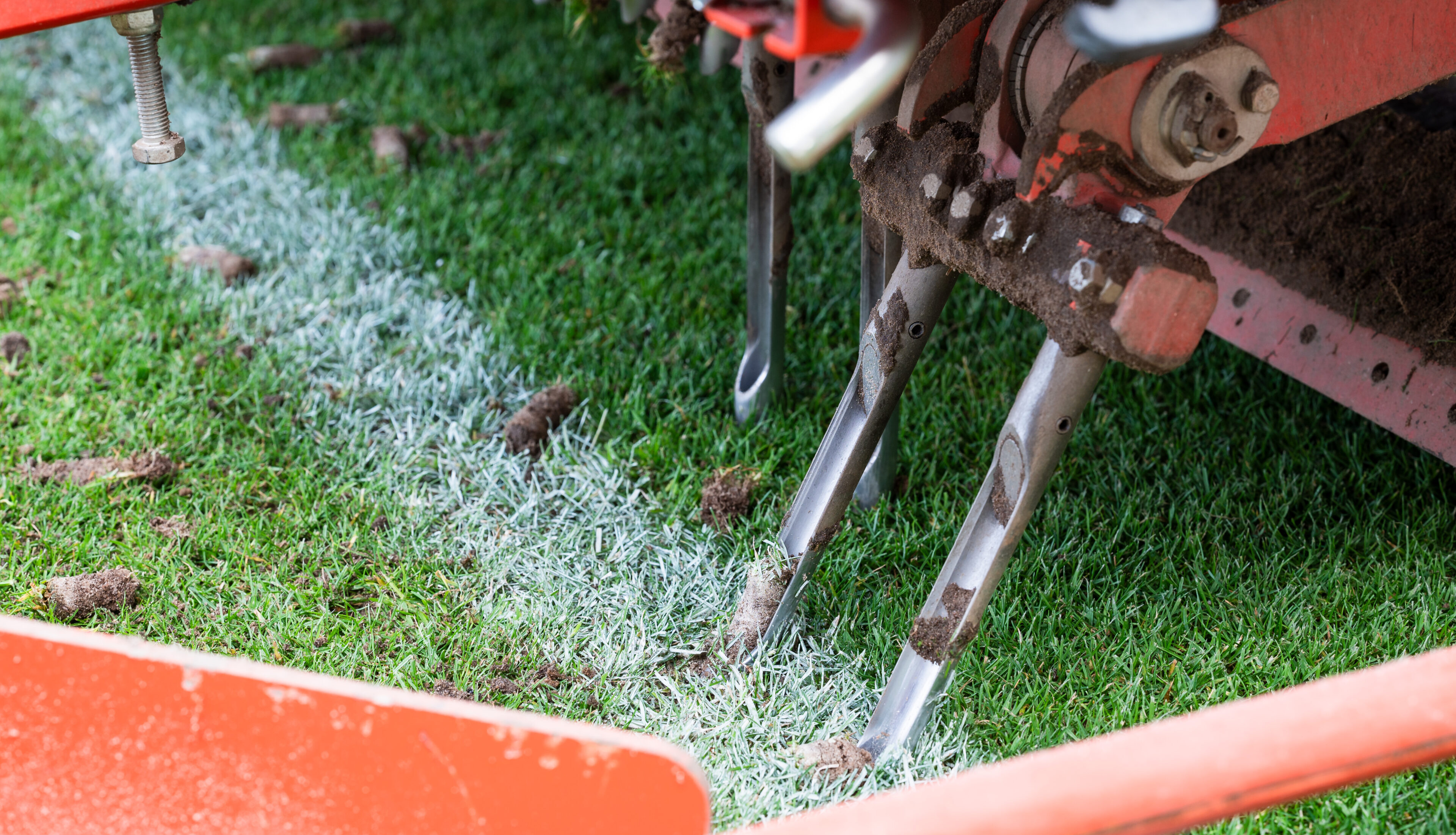 How Often Should You Aerate Your Lawn? Professional Guidance for Optimal Turf Health